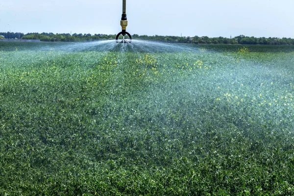 Sistema Automatico Irrigazione Agricola Sprinkler Funzione Campi Agricoli Trasformati Una — Foto Stock