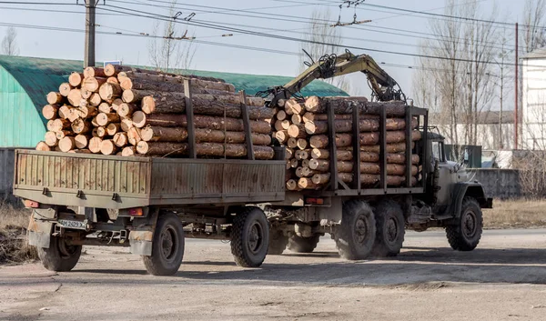 Zhitomir Ukrajna 2016 Február Kamion Szállítja Minden Kezeletlen Fenyőfából Készült — Stock Fotó