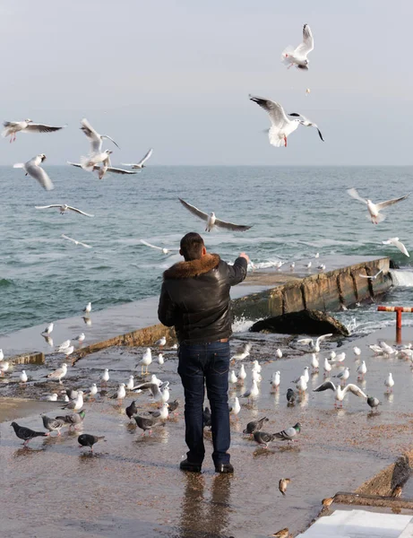 Gente Alimenta Una Bandada Gaviotas Orilla Del Mar Invierno Una — Foto de Stock