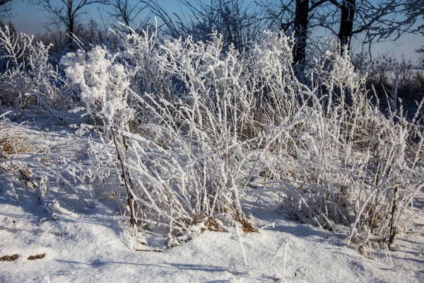 Bellissimo Paesaggio Invernale Scena Sfondo Con Alberi Ricoperti Neve Ghiaccio — Foto Stock