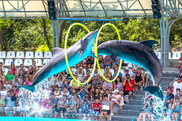 Odessa Ukraine June 2013 Dolphins Creative Entertaining Show Dolphinarium Full — Stock Photo, Image