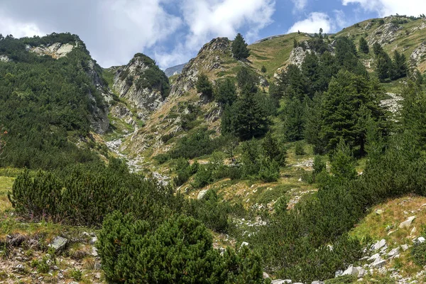 Scenic Peisaj Montan Munții Pirin Bulgaria Vedere Montană Vară Pentru — Fotografie, imagine de stoc