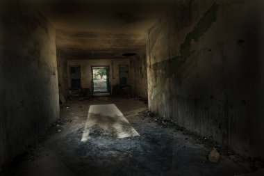 Terk edilmiş bir harabe binada bir antik 18. yy binası mistik iç, kalıntıları. Eski duvarlar, çöp ve çamur ile koridor mahvetti. Kalıp, alçı dekorasyon, kısma yok