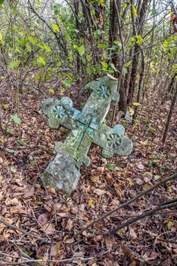 Halı mor papatya çiçekler arka plan, odak seçici odak. Tasarım kartı için çiçek arka plan