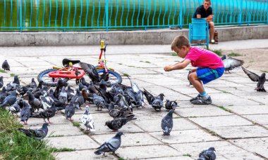 Odessa, Ukrayna - 18 Haziran 2014: küçük çocuk beslemeleri bir sürü Rock güvercinler ekmek yaz göl Promenade city Park, 18 Haziran 2014 Odessa, Ukrayna.