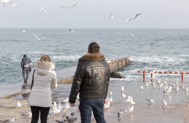 İnsanları martılar deniz kıyısında bir sürü kışın beslemek. Denize yakın çekim üzerinde bir sürü deniz martı. Martılar denize kış sahilde. Martılar uçuş gıda insanların elinden yakalamak