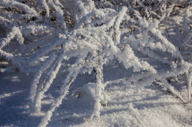 Güzel kış manzara sahne arka plan zekâ kar ağaçlar ve buz nehir kaplı. Güzellik güneşli kış zemin. Harikalar. Snowy orman ayaz ağaçlarda. Sakin kış doğa güneş ışığı altında