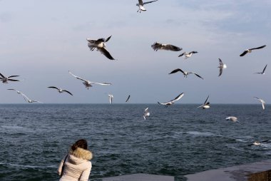 İnsanları martılar deniz kıyısında bir sürü kışın beslemek. Denize yakın çekim üzerinde bir sürü deniz martı. Martılar denize kış sahilde. Martılar uçuş gıda insanların elinden yakalamak