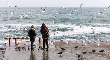 İnsanları martılar deniz kıyısında bir sürü kışın beslemek. Denize yakın çekim üzerinde bir sürü deniz martı. Martılar denize kış sahilde. Martılar uçuş gıda insanların elinden yakalamak