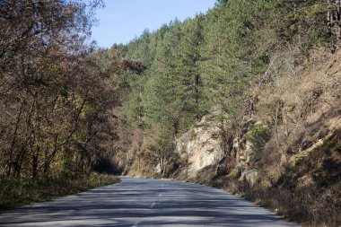 Otoyol dağlarında dağ orman. Dağlık bir alanda bir ormanda güzel bir yeni asfalt karayolu geçer