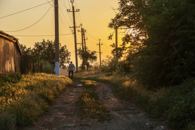 man walks along country road in fall in sunset. man walking along road, backlit at sunset, amid rural landscape of Ukrainian village. Beautiful meditative rural landscape at sunset of day