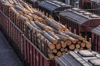 Odessa, Ukrayna - 6 Ekim 2015: terminal şube demiryolu yük treni. Demiryolu taşımacılığı. Yük. Taşıyan ahşap, ahşap, Kurşun külçeler, bir treni metal kütük. Bir tren hareket