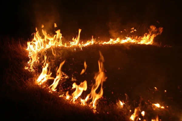 Feu Forêt Arbre Tombé Est Brûlé Sur Sol Beaucoup Fumée — Photo