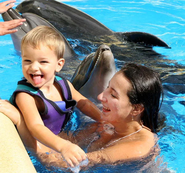Happy Beautiful Young Woman Small Child Laughs Swims Dolphins Blue — Stock Photo, Image