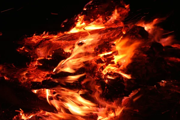 Fuego Forestal Árbol Caído Quema Suelo Mucho Humo Cuando Vildfire —  Fotos de Stock