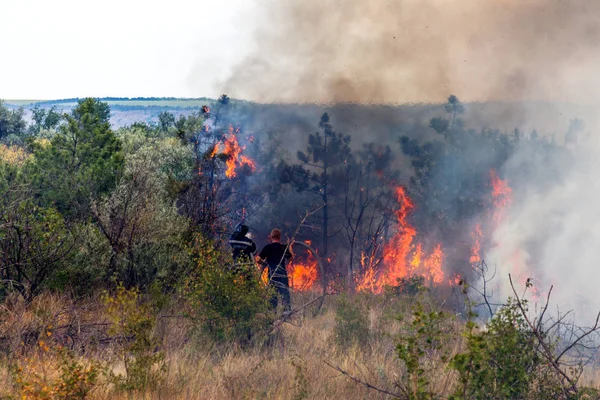 Odessa Ukraine August 2012 Severe Drought Fires Destroy Forest Steppe — Stock Photo, Image