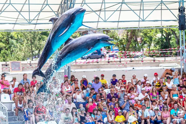 Odessa Ukrayna Haziran 2013 Yunuslar Dolphinarium Ful Ziyaretçi Ile Yaratıcı — Stok fotoğraf