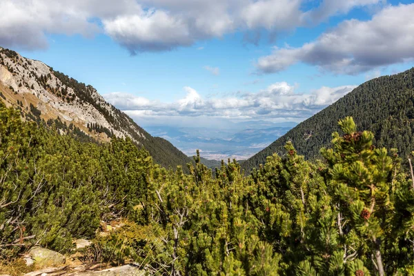 Hermoso Paisaje Montaña Contrastante Brillante Con Cimas Montaña Cubiertas Bosque —  Fotos de Stock