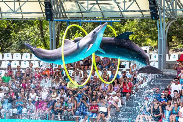 Odessa Ukraine June 2013 Dolphins Creative Entertaining Show Dolphinarium Full — Stock Photo, Image