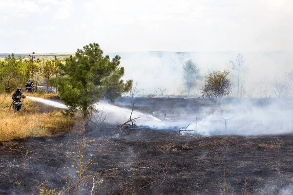 Odessa Ukraine August 2012 Severe Drought Fires Destroy Forest Steppe — Stock Photo, Image