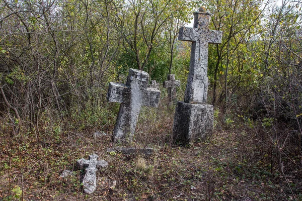 보라색 초점에 선택적 디자인 — 스톡 사진