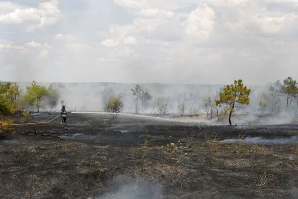 Odessa Ukraina Augusti 2012 Svår Torka Avfyrar Förstör Skogen Och — Stockfoto