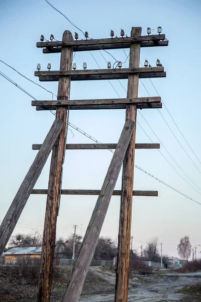 Ahşap Kule Elektrik Iletim Hattı Güç Kaynağı Teknoloji Geçen Yüzyılın — Stok fotoğraf