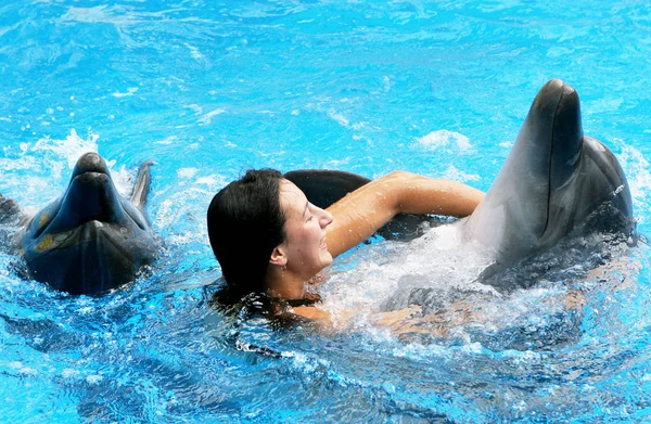 Menina Bonita Feliz Nada Com Golfinhos Piscina Azul Dia Ensolarado — Fotografia de Stock