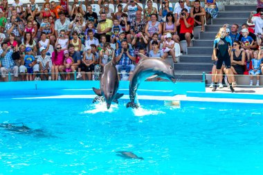 Odessa, Ukrayna - ö. 10 Haziran 2013: Yunuslar dolphinarium ful ziyaretçi ile yaratıcı eğlenceli göstermek üstünde göstermek inanılmaz hileler. seyirciler mutlu 10 Haziran 2013 odessa, Ukrayna memnun.