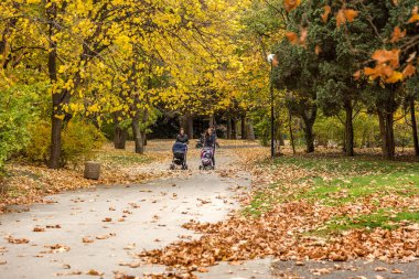 Varna, Bulgaristan - 13 Kasım 2015: sonbahar Şehir Parkı. Parlak güneşli bir günde parkta yürüyüş küçük çocuklu Genç Anne.