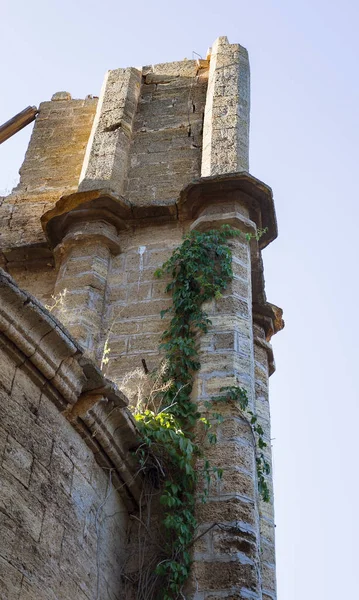 Interior Místico Ruínas Fachada Edifício Arruinado Abandonado Castelo Antigo Mansão — Fotografia de Stock