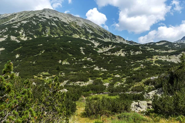 Paisaje Escénico Montaña Montañas Pirin Bulgaria Vista Montaña Verano Para —  Fotos de Stock