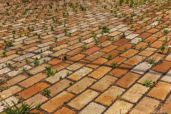 Texture Vecchia Lastra Marciapiede Pavimentazione Con Segni Usura Crepe Usura — Foto Stock