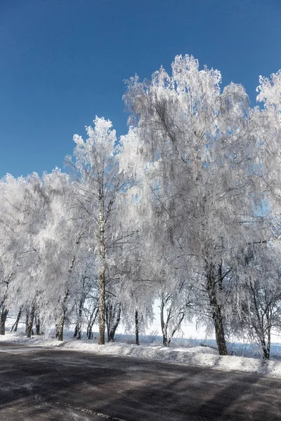 Schneebedeckte Winterstraße Bäume Bei Frost Und Schnee Straßenrand Strahlend Verschneite — Stockfoto