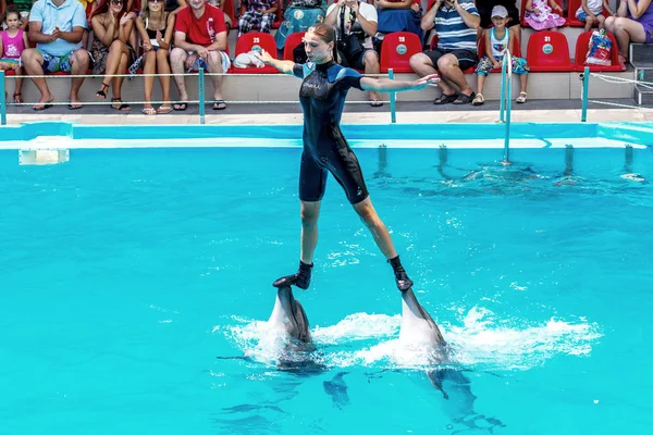 Odessa Ukraine June 2013 Dolphins Creative Entertaining Show Dolphinarium Full — Stock Photo, Image