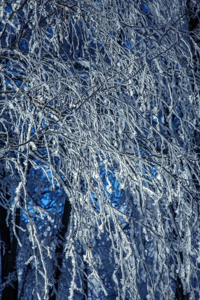 Bellissimo Paesaggio Invernale Scena Sfondo Con Alberi Ricoperti Neve Ghiaccio — Foto Stock