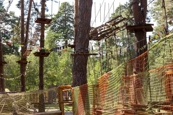 어린이 밧줄을 소나무 숲에서 초보자를 유선된 공원에 숲에서 로프의 과정입니다 — 스톡 사진