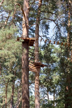 Çocuk Macera Parkı köprüler, halatlar ve merdiven uzun boylu çam ağaçları arasında ormanda yeni başlayanlar için tasarlanmış. Yüksek kablolu park tırmanma macera. Ormandaki yüksek halatlar tabii. Zipline etkinliği