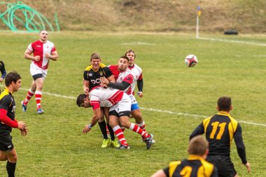 Odessa, Ukrayna -6 Kasım 2015: Ukrayna Kupası rugby Credo - Odessa ve Olimpiyat - Kharkov. Erkekler maç sırasında gergin anı scrum