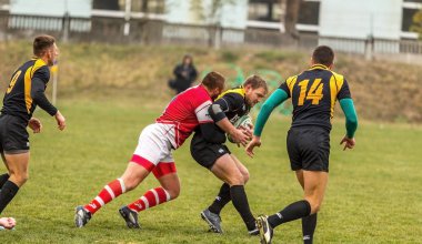 Odessa, Ukrayna -6 Kasım 2015: Ukrayna Kupası rugby Credo - Odessa ve Olimpiyat - Kharkov. Erkekler maç sırasında gergin anı scrum