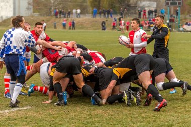 Odessa, Ukrayna -6 Kasım 2015: Ukrayna Kupası rugby Credo - Odessa ve Olimpiyat - Kharkov. Erkekler maç sırasında gergin anı scrum