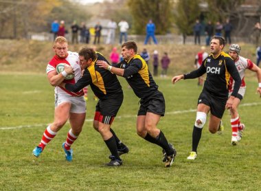 Odessa, Ukrayna -6 Kasım 2015: Ukrayna Kupası rugby Credo - Odessa ve Olimpiyat - Kharkov. Erkekler maç sırasında gergin anı scrum