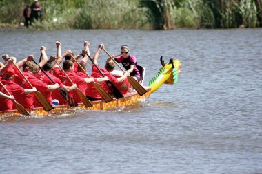 Odessa, Ukrayna - 16 Mayıs 2010: Şampiyonası Gaziler arasında kürek Ukrayna. Dragon Tekne Nehri üzerinde. İnsanlar kürek tekne yaz aylarında yarışta