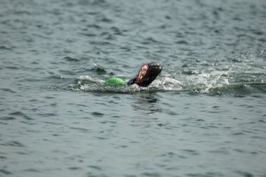 Odessa, Ukrayna - Eylül 2018: Odessa, Oceanman Biz Are açık su yüzme yarışmalar. Run su ve büyük yüzme yarışında içine siyah açık su sahilden yüzücüler