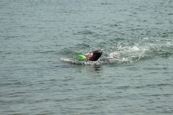 Oděsa Ukrajina Září 2018 Oceanman Jsme Jsou Otevřené Vodě Plavat — Stock fotografie