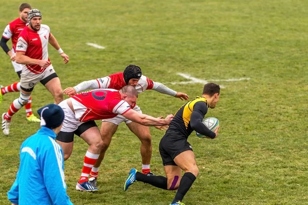 Odessa, Ukrayna -6 Kasım 2015: Ukrayna Kupası rugby Credo - Odessa ve Olimpiyat - Kharkov. Erkekler maç sırasında gergin anı scrum
