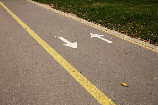 Bike Lane. Marking with directional arrows on the bicycle path in the city park. Outdoor sports, fitness and active lifestyle. The sign of the bike route on the road and the direction of the arrows