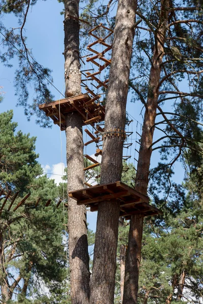 Kinder Avonturenpark Bruggen Touwen Trappen Ontworpen Voor Beginners Bos Onder — Stockfoto