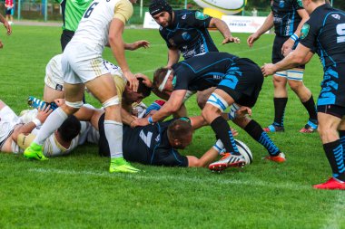 Krasnodar, Rusya Federasyonu - 11,2018 olabilir: Rus Rugby Şampiyonası Erkekler arasında: Kuban (Krasnodar) - beyaz ve Yenisey-Stm - (Krasnoyarsk). Yorucu spor oyunu dramatik oyun anları