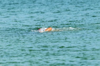 Odessa, Ukrayna - 8.09.2018: rekabet çocuklar için yüzme Oceanman biz açık açık su. Shore yüzücüler çocuklar içine su ve büyük yüzme yarışında açık deniz suya. Spor yaşam tarzı